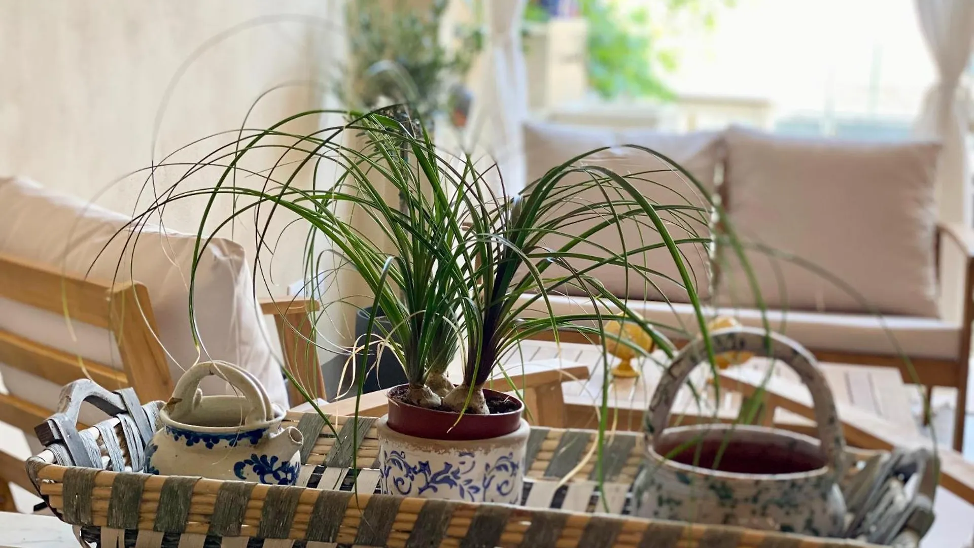 Holiday home A 5 Min Dal Mare, Casa Di Recente Ristrutturazione Torre del Lago Puccini Italy